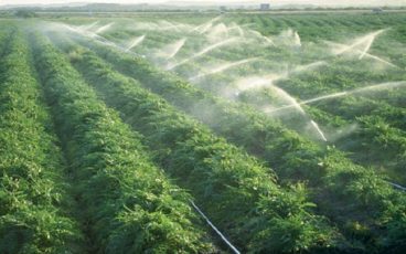 روش قیمت گذاری آب در بخش کشاورزی